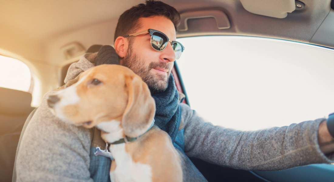 Relocating with Pets Vet Clinics and PetFriendly Spaces in East